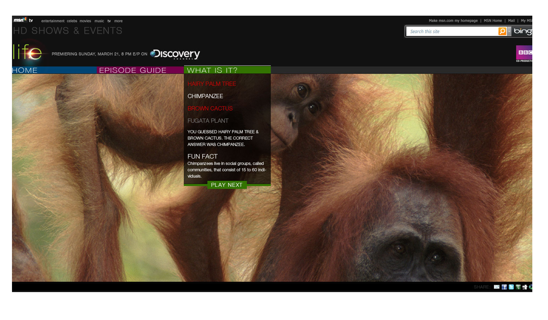 DISCOVERY LIFE — slide 6