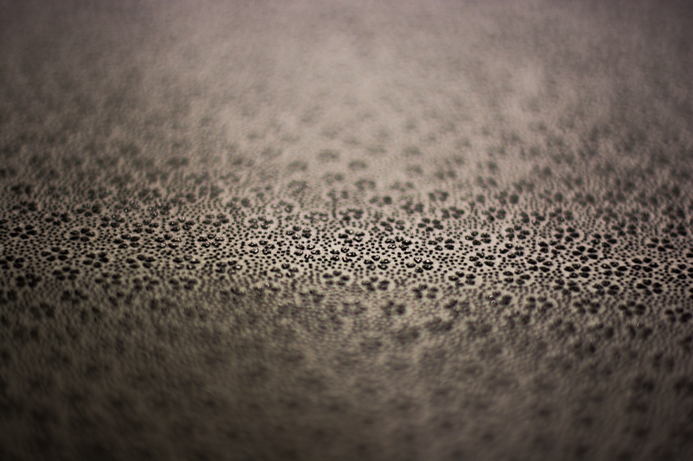 Edo Komon dyeing workshop — 10