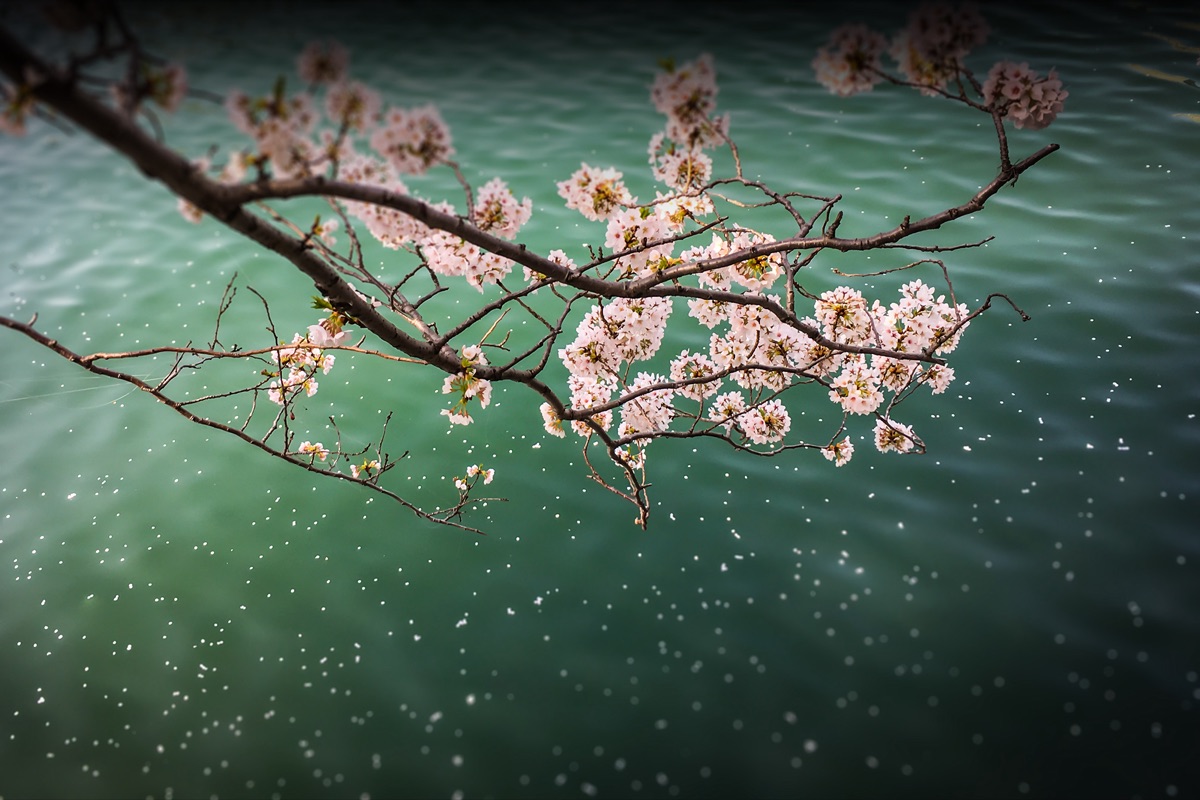 I love photography!